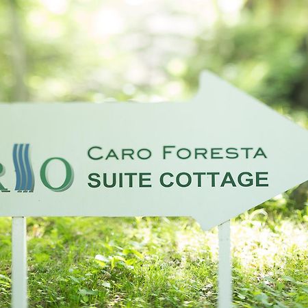 Caro Foresta Kita Karuizawa Rio Tsumagoi Exterior foto
